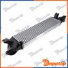 Intercooler pour MITSUBISHI | CNG-MS-000, 309113
